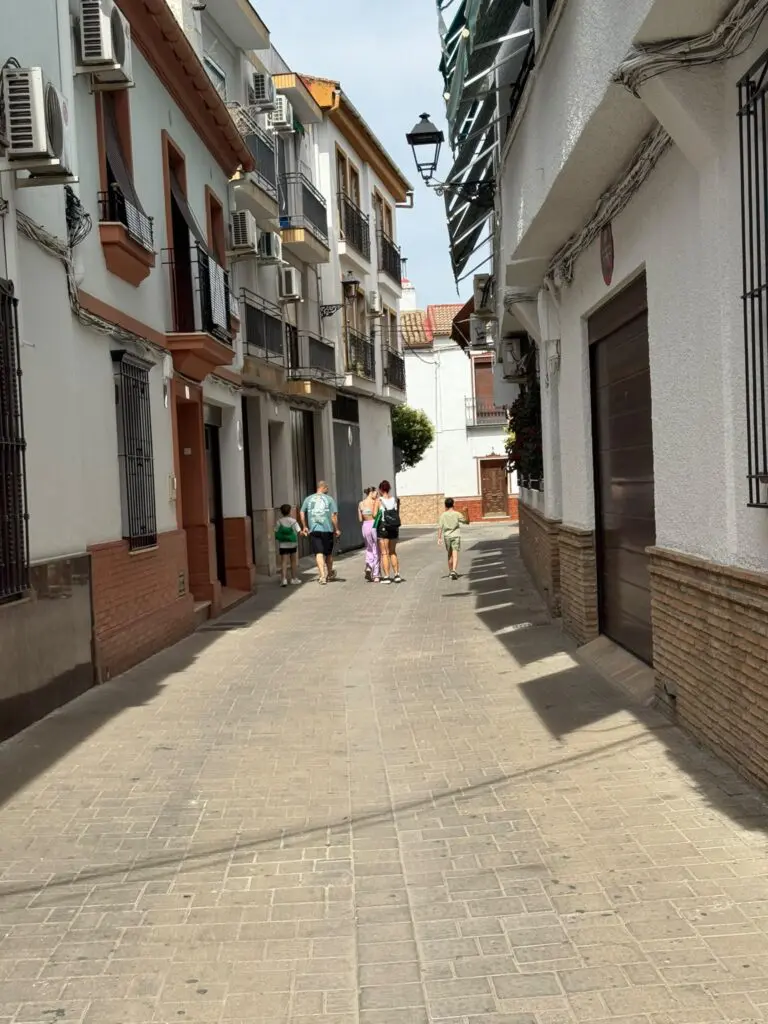 Buscando las pistas